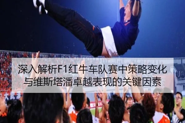 深入解析F1红牛车队赛中策略变化与维斯塔潘卓越表现的关键因素