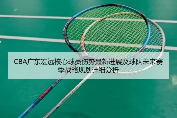 CBA广东宏远核心球员伤势最新进展及球队未来赛季战略规划详细分析